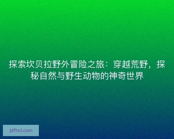 探索坎贝拉野外冒险之旅：穿越荒野，探秘自然与野生动物的神奇世界